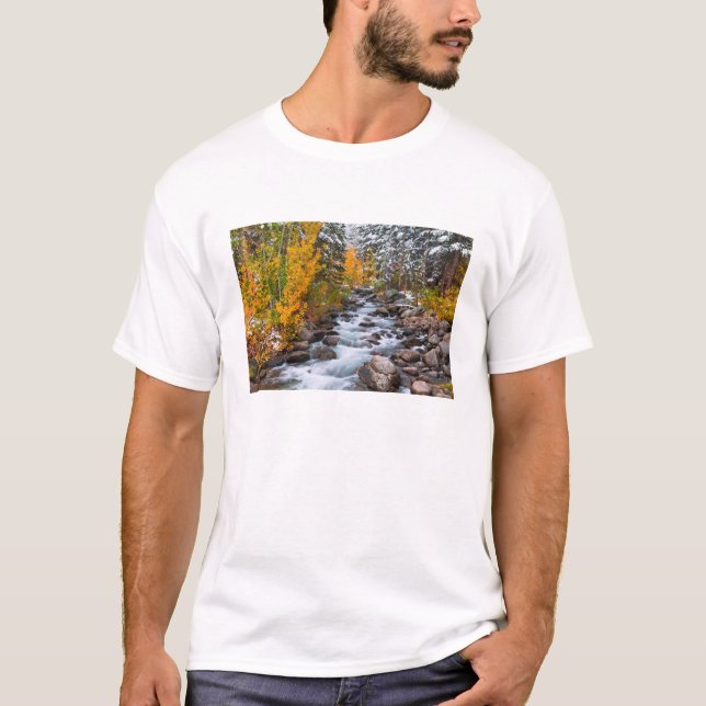 Fall along Bishop creek, California T-Shirt (Front)