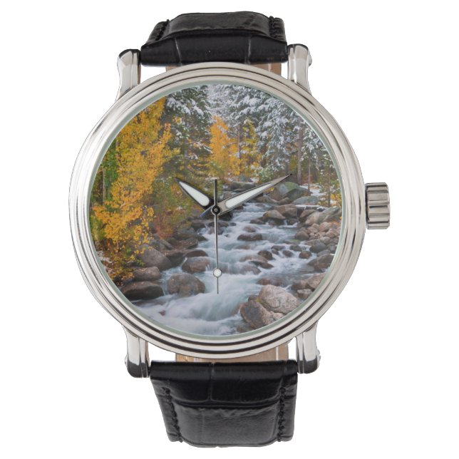 Fall along Bishop creek, California Watch (Front)