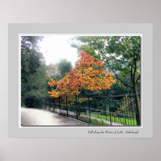 Fall along the Water of Leith - Edinburgh Poster (Front)