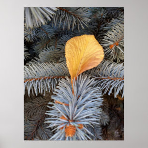 fall and winter poster
