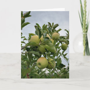 Fall Apple Orchard Card