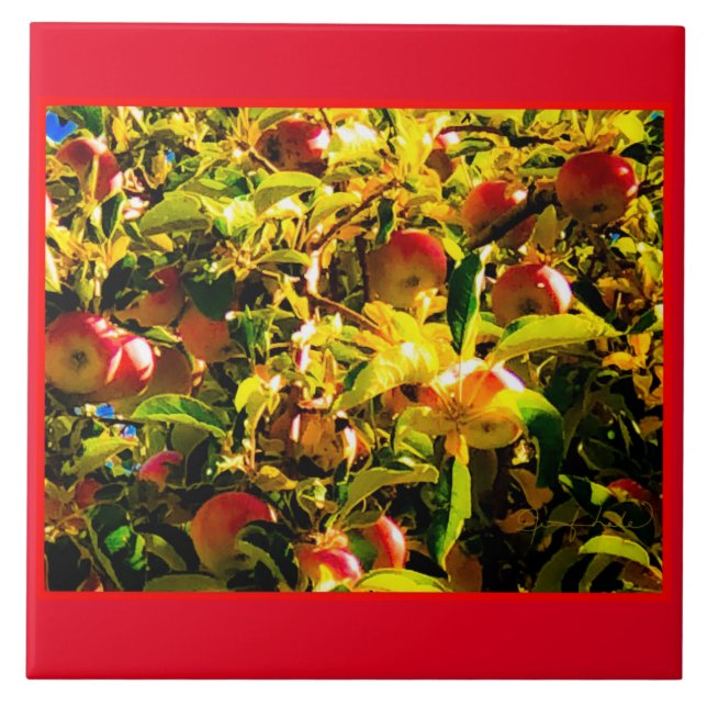 Fall Apples Tile (Front)