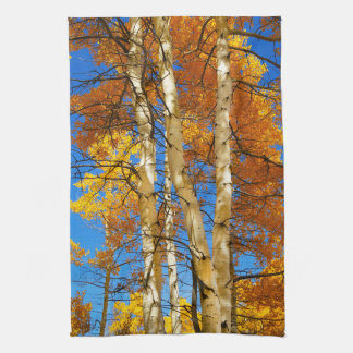 Fall Aspen Colour Nature Photograph © Sandy Long Tea Towel
