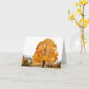Fall at Blackbird  Card