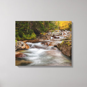 Fall at Jefferson Brook, New Hampshire Canvas Print