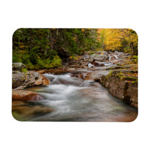 Fall at Jefferson Brook, New Hampshire Magnet