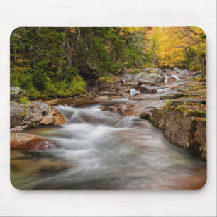 Fall at Jefferson Brook, New Hampshire Mouse Mat