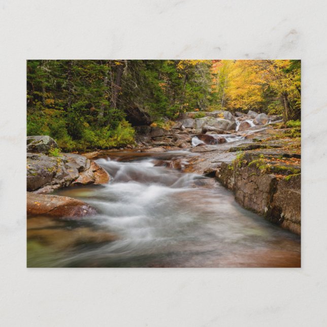Fall at Jefferson Brook, New Hampshire Postcard (Front)