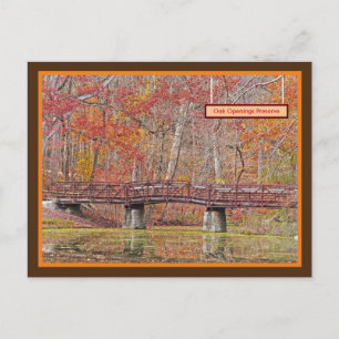 FALL AT OAK OPENINGS PRESERVE, TOLEDO OHIO AREA POSTCARD