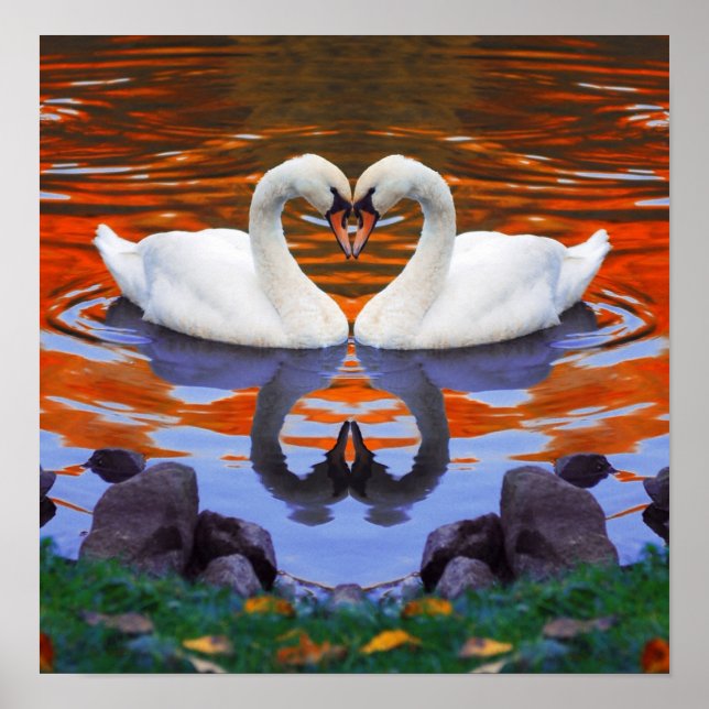 Fall Autumn Lake Reflections of Swans in Love Poster (Front)