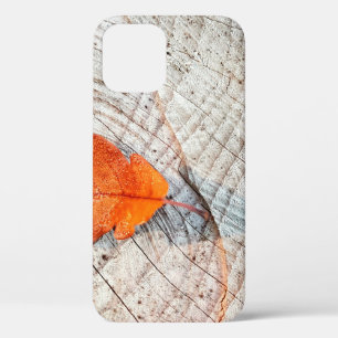 Fall autumn leaves oak leaf wood iPhone 12 case