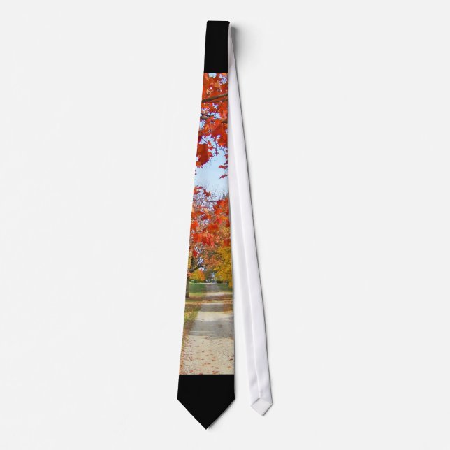 Fall Autumn Leaves Tie (Front)