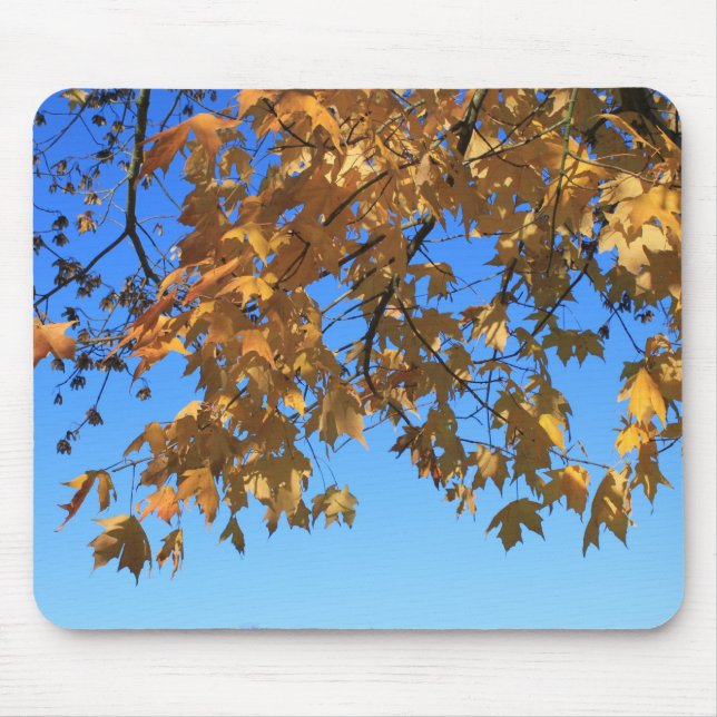 Fall,autumn leaves,trees and blue sky mouse mat (Front)