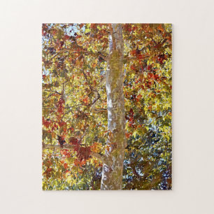 Fall Autumn Season Sycamore Tree Art Puzzle