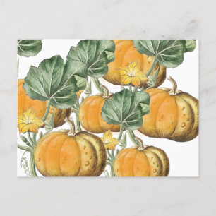 Fall Autumn Watercolor Vintage Pumpkins Holiday Postcard