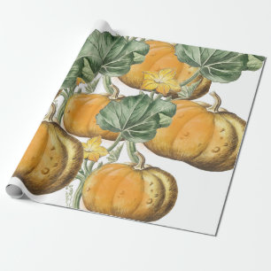 Fall Autumn Watercolor Vintage Pumpkins Wrapping Paper
