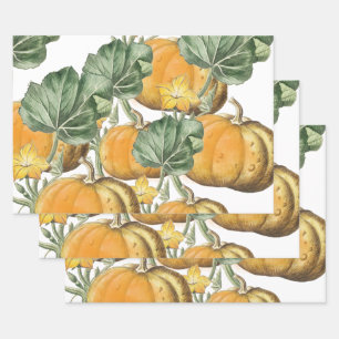 Fall Autumn Watercolor Vintage Pumpkins Wrapping Paper Sheet