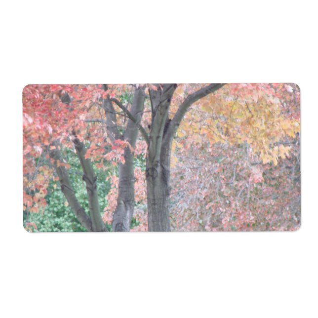 Fall Beauty (Front)