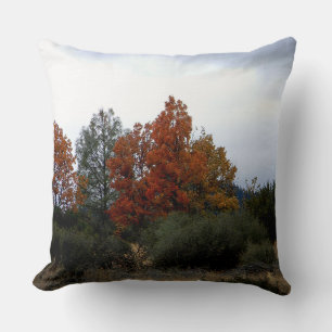 Fall beauty.... cushion