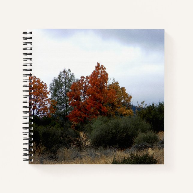 Fall beauty.... notebook (Front)