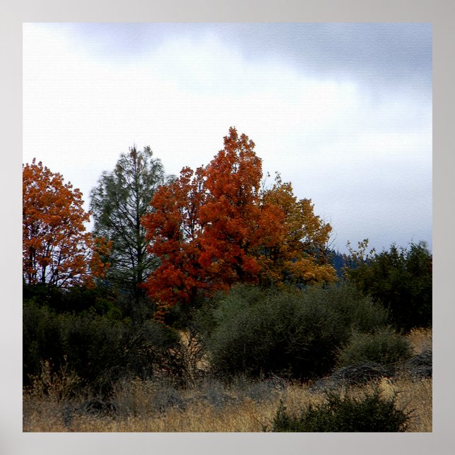 Fall beauty.... poster (Front)