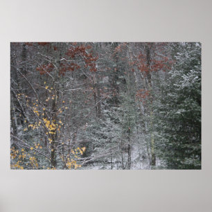 Fall Before Winter Poster