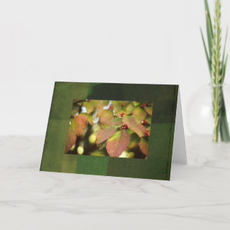 Fall Berries notecard