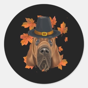Fall Bloodhound Pilgrim Thanksgiving Classic Round Sticker