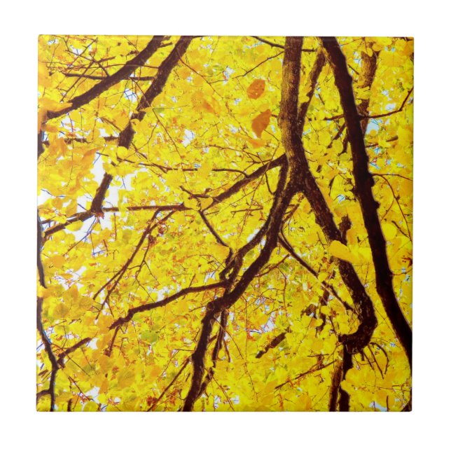 Fall branches - golden yellow tile (Front)