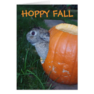 FALL BUNNY CARD