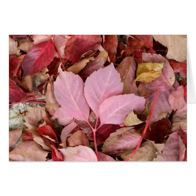 Fall Card (Front Horizontal)