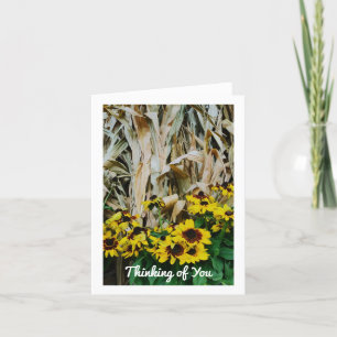 FALL CARDS THINKING OF YOU BLANK NOTES