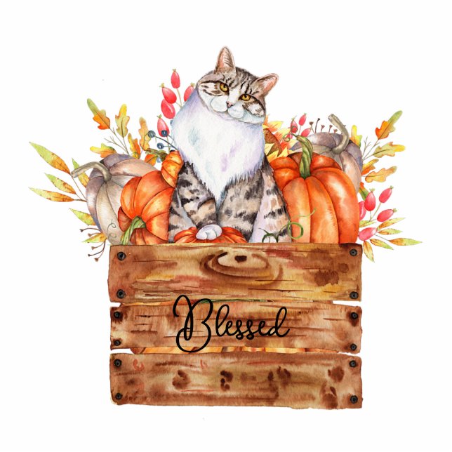 Fall cat and pumpkins in box custom magnet photo sculpture magnet (Front)