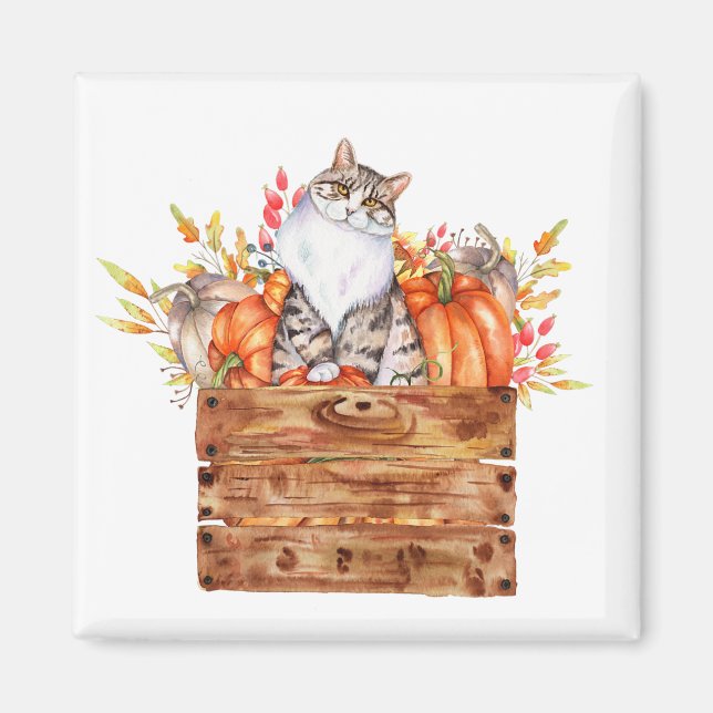 Fall cat and pumpkins in box  magnet (Front)