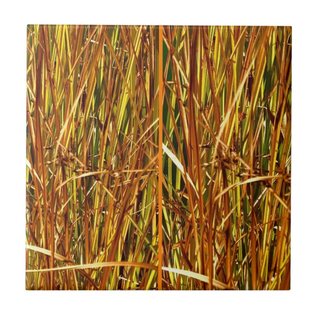 Fall Cattails Tile (Front)