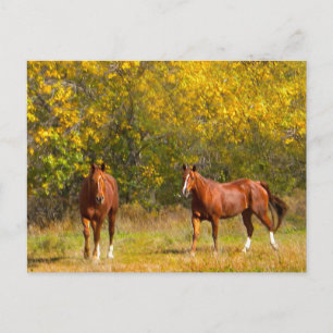Fall Chestnut Horses Postcard