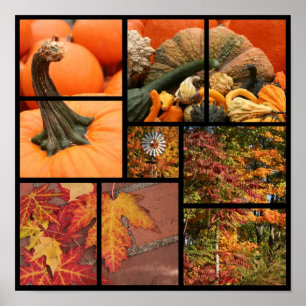 Fall Collage Poster