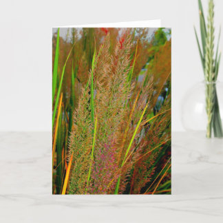 Fall collection card