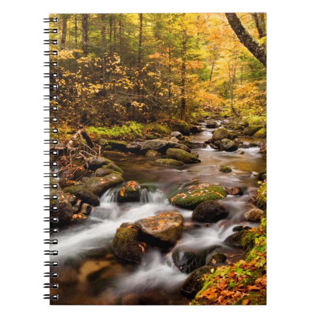 Fall Color Jefferson Brook | White Mountains Notebook (Front)
