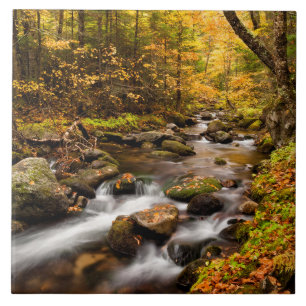 Fall Color Jefferson Brook   White Mountains Tile