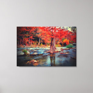 Fall Colors Canvas Print