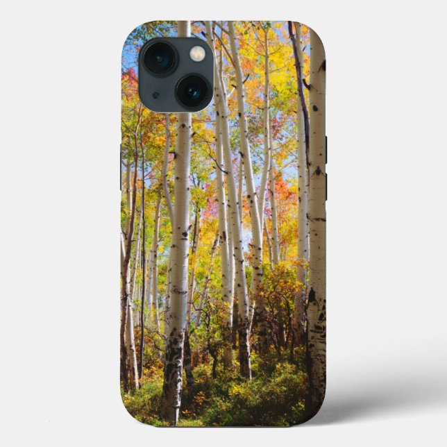 Fall colors of Aspen trees 5 Case-Mate iPhone Case (Back)
