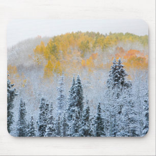 Fall Colors of Aspens & Fresh Snow Keebler Pass Mouse Mat