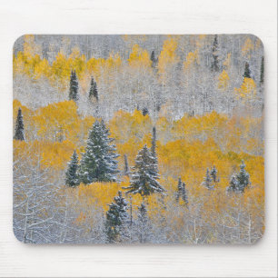 Fall Colors of Aspens & Fresh Snow Keebler Pass Mouse Mat