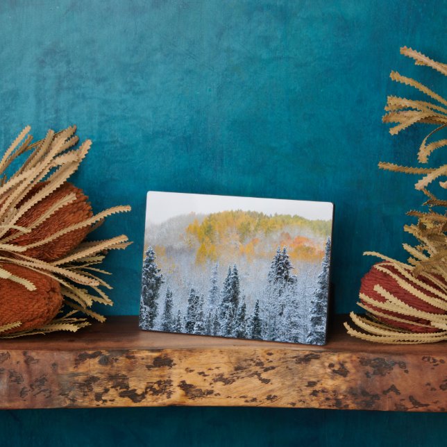 Fall Colors of Aspens & Fresh Snow Keebler Pass Plaque (Side)