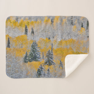 Fall Colors of Aspens & Fresh Snow Keebler Pass Sherpa Blanket