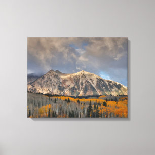 Fall Colors of Aspens, Keebler Pass Canvas Print