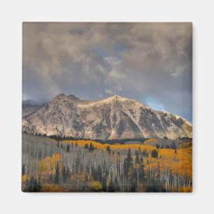 Fall Colors of Aspens, Keebler Pass Magnet
