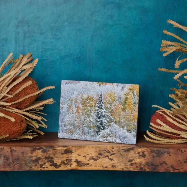 Fall Colors of Aspens & Snow Keebler Pass Plaque (Side)