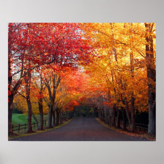 Fall Colors Print